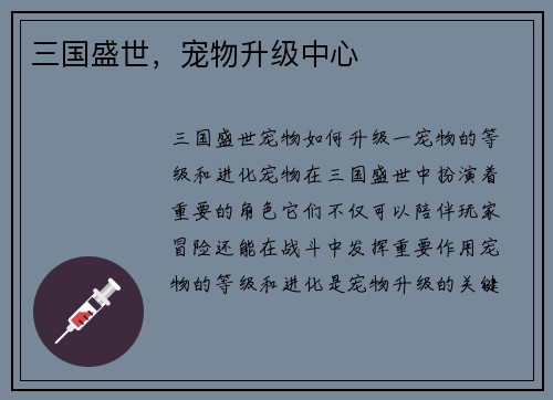 三国盛世，宠物升级中心