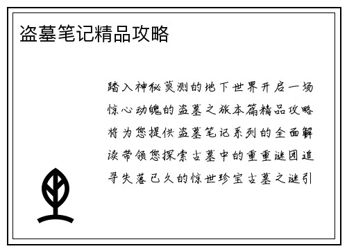 盗墓笔记精品攻略